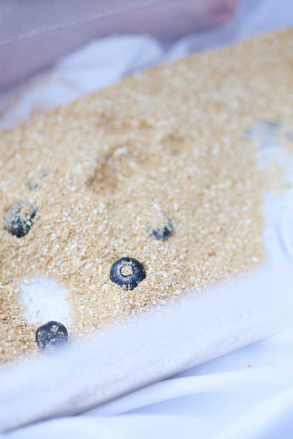 edible sand and blueberries in a plastic tub